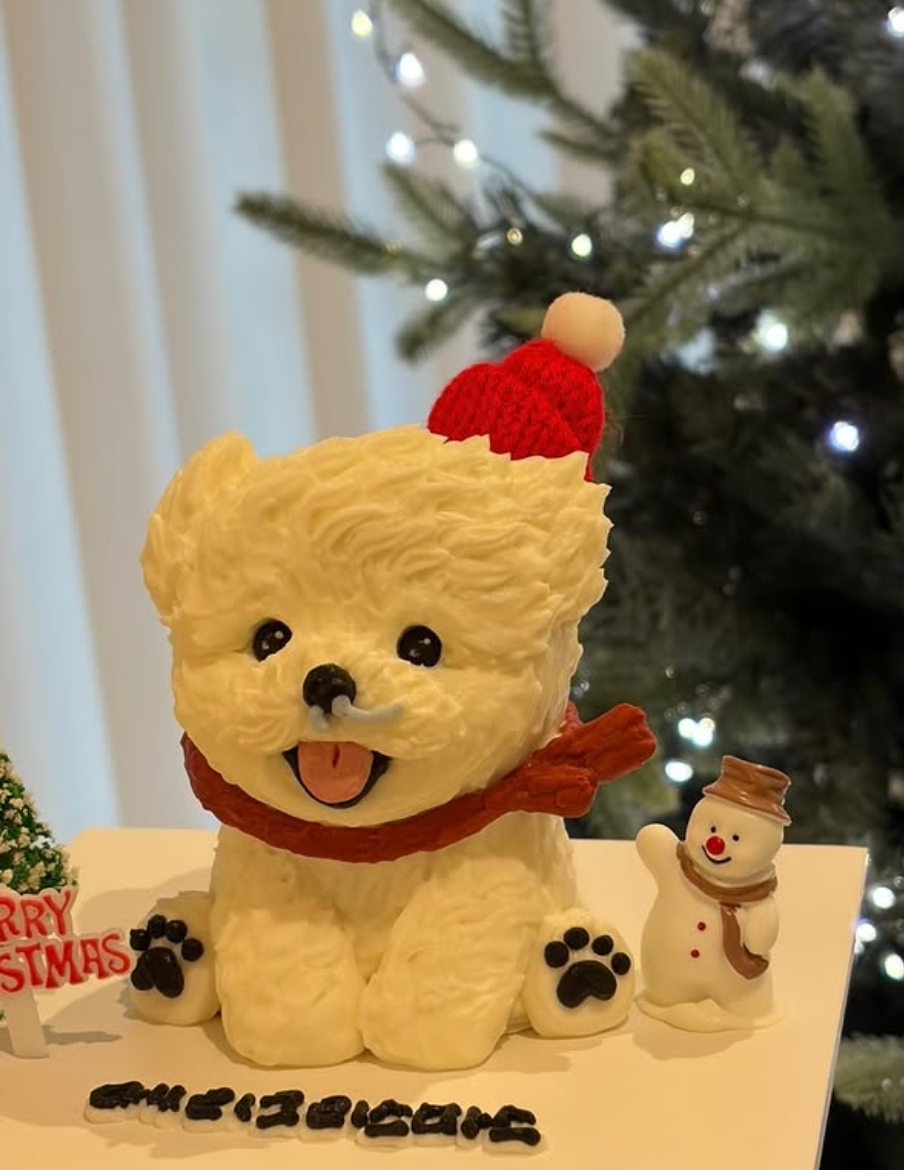 산타모자 강아지 케이크